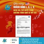 RVS CHÚC MỪNG KHÁCH HÀNG L. Q. L. V. ĐƯỢC BỘ LAO ĐỘNG (DOL) MỸ PHÊ DUYỆT PERM CỦA CHƯƠNG TRÌNH ĐỊNH CƯ MỸ EB-3